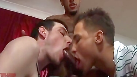 Sexy brunette hair take freund in a mouth